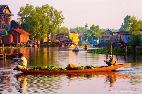 kashmir-holiday-tour-package